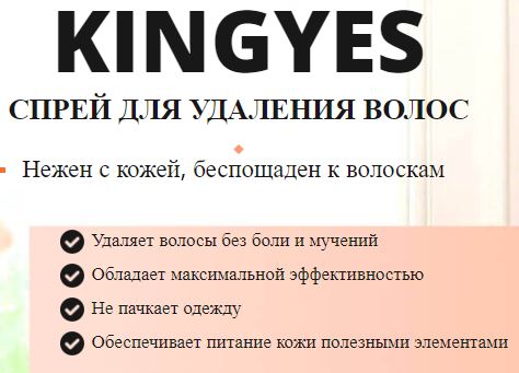 Где в Владивостоке купить Kingyes